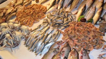 تباين سعر السمك اليوم في سوق العبور انخفاض الكابوريا مقابل ارتفاع البلطي والجمبري 1